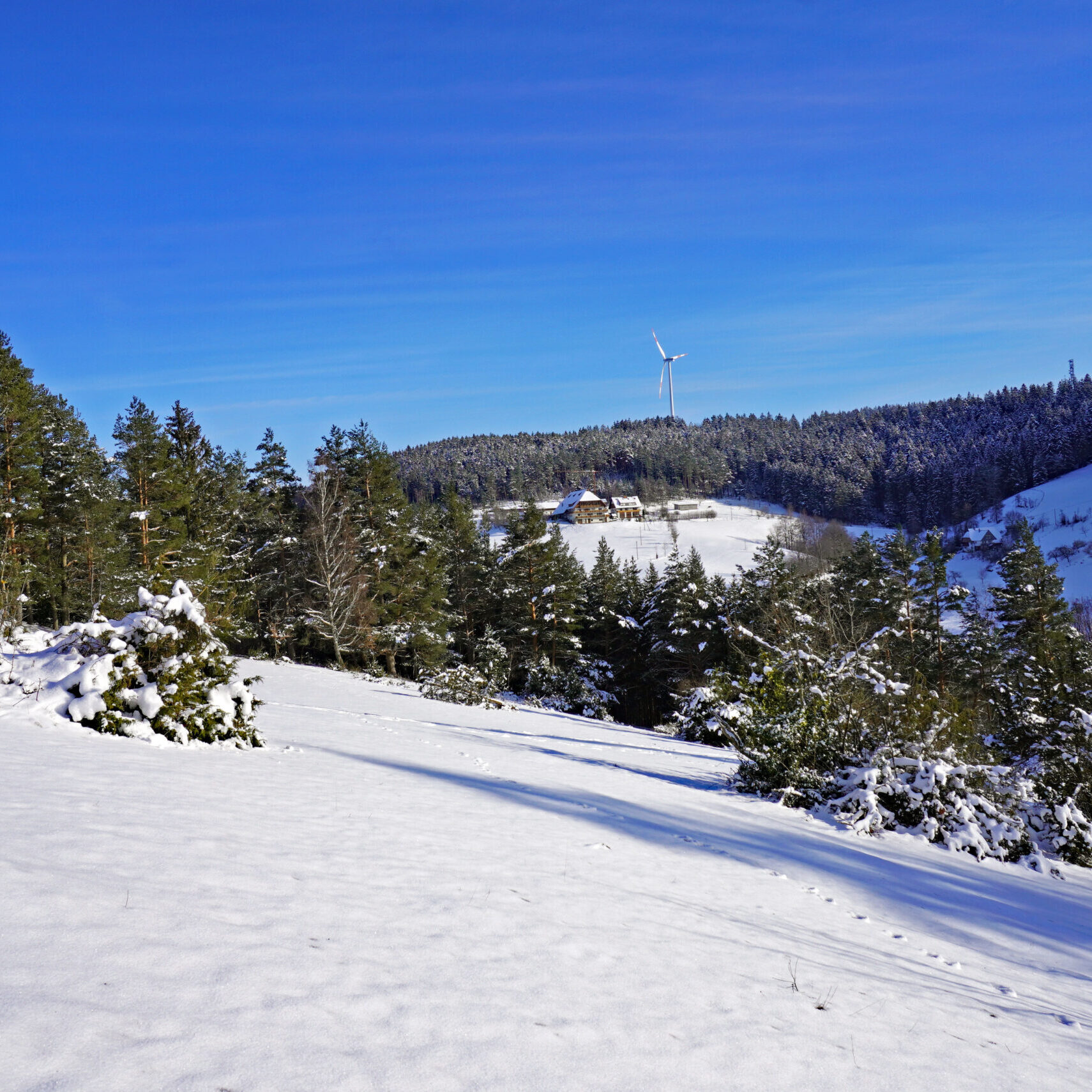 2Mittelbergrunde Tennenbronn im Winter 6