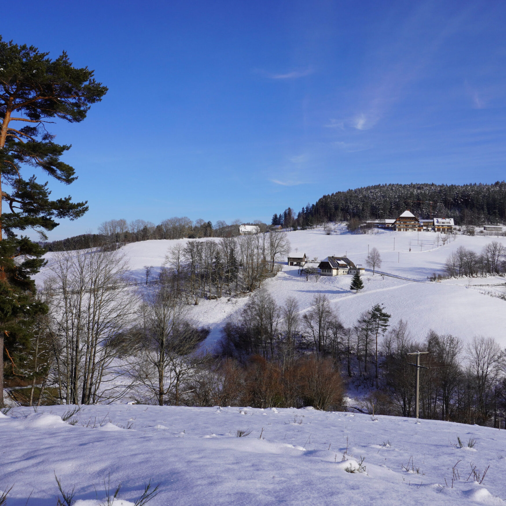 3Mittelbergrunde Tennenbronn im Winter 12