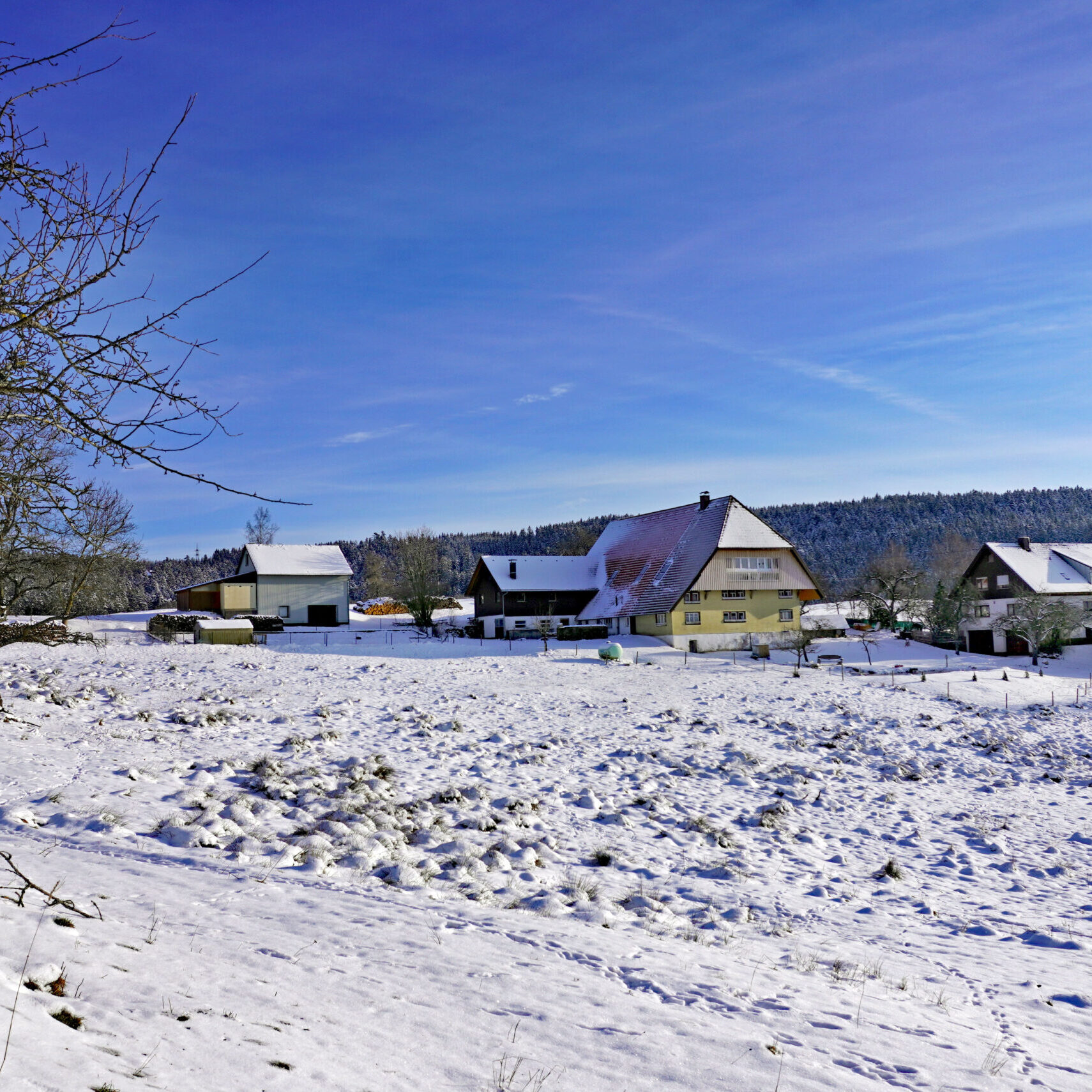 5Mittelbergrunde Tennenbronn im Winter 15
