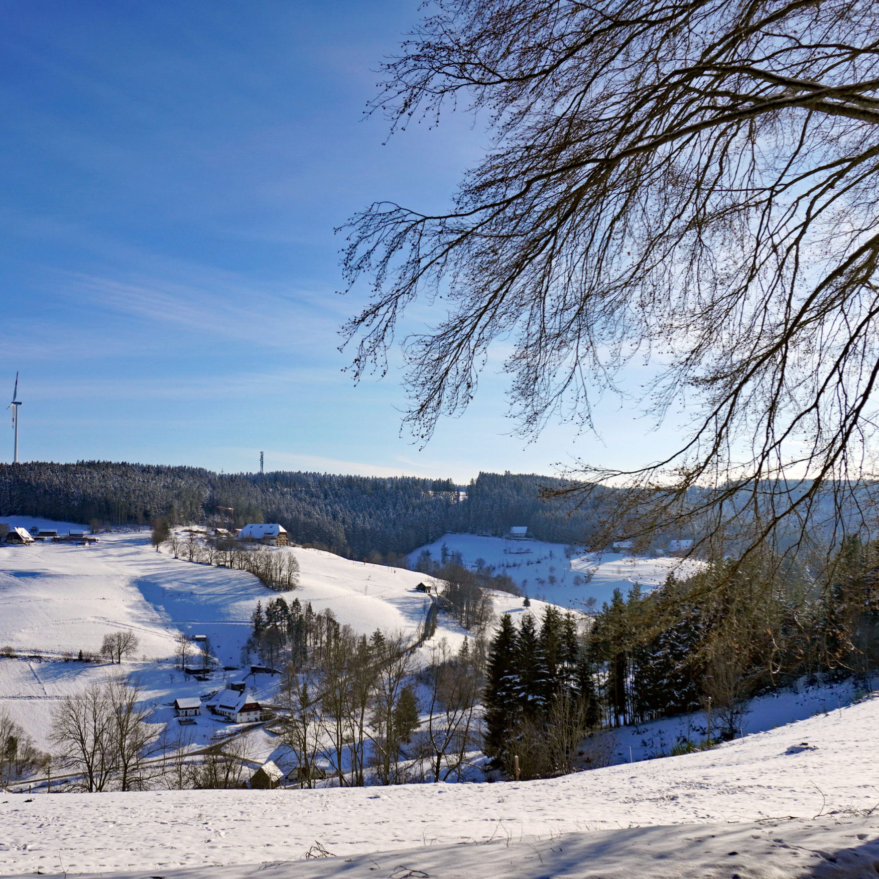 7Mittelbergrunde Tennenbronn im Winter 4