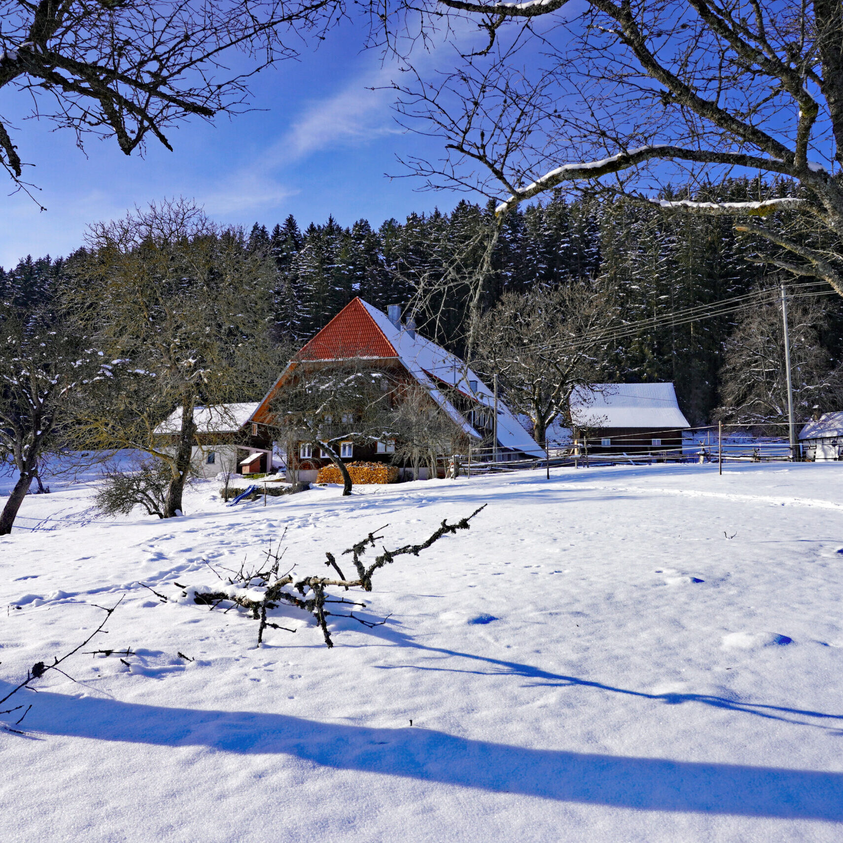8Mittelbergrunde Tennenbronn im Winter 8