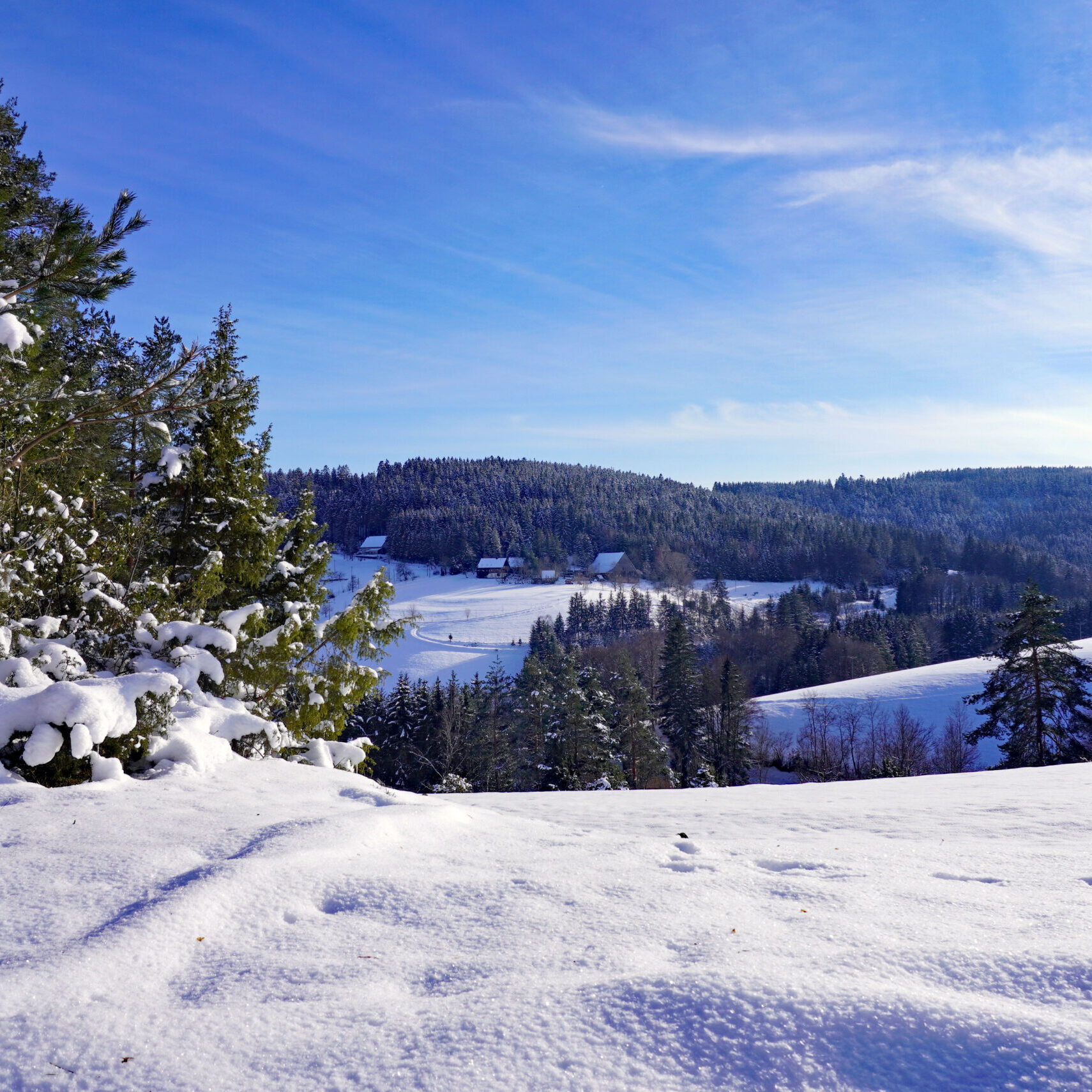 9Mittelbergrunde Tennenbronn im Winter 10