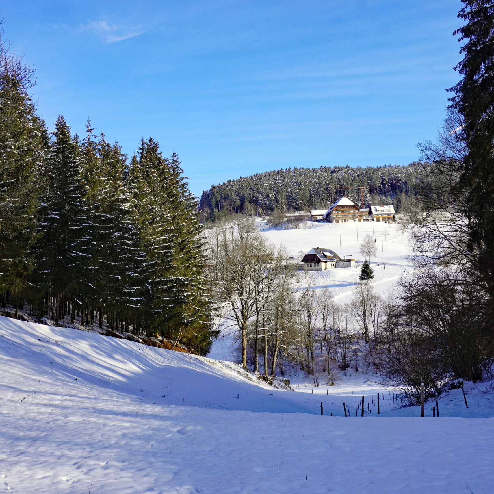 Mittelbergrunde Tennenbronn im Winter 11