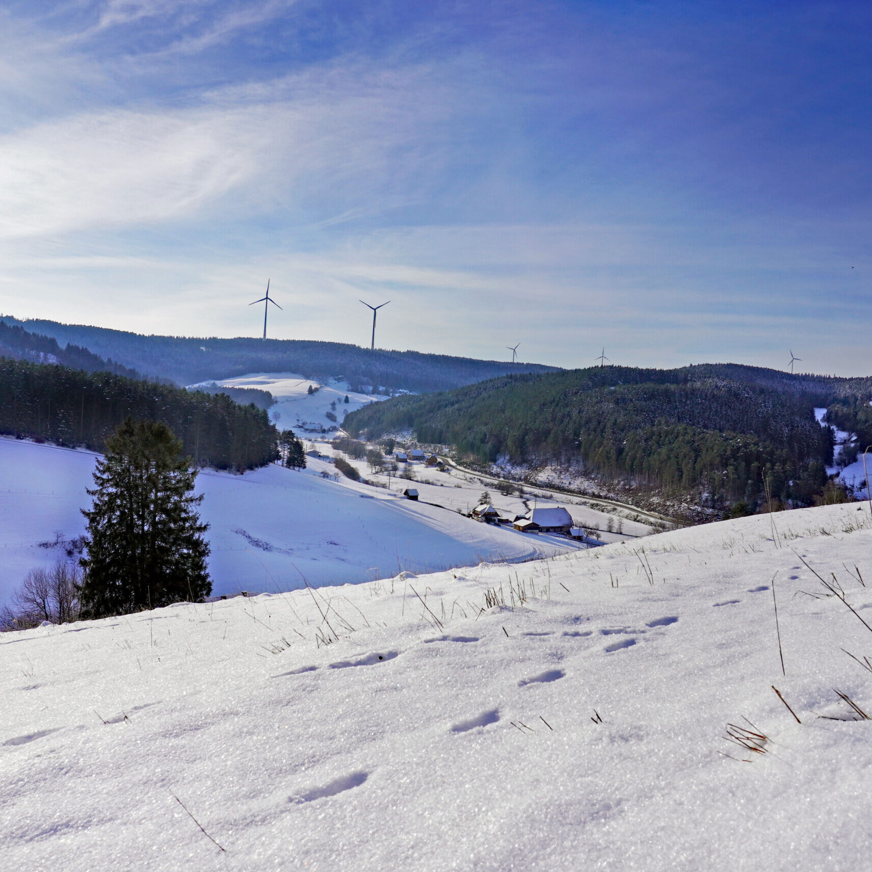 Mittelbergrunde Tennenbronn im Winter 16