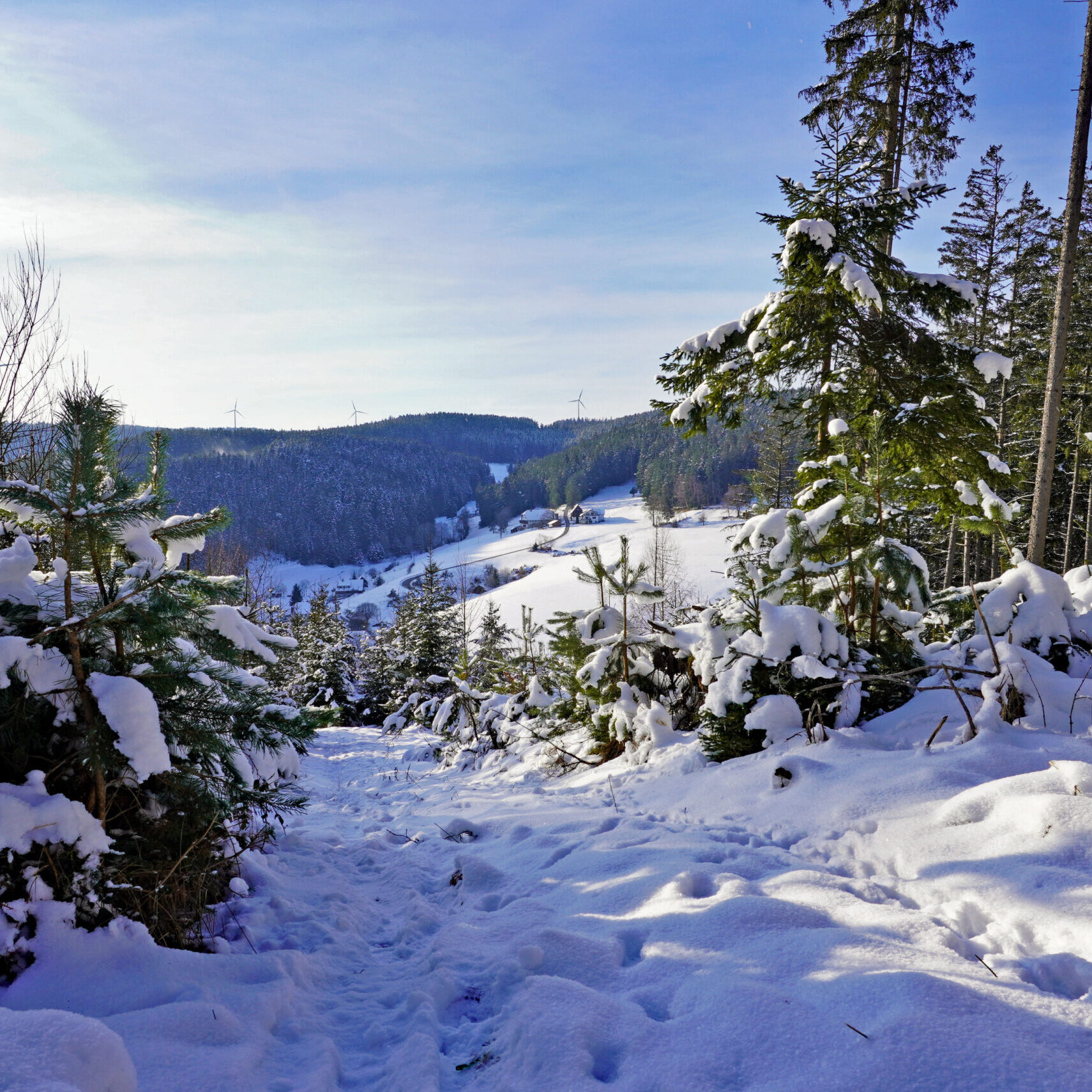 Mittelbergrunde Tennenbronn im Winter 18