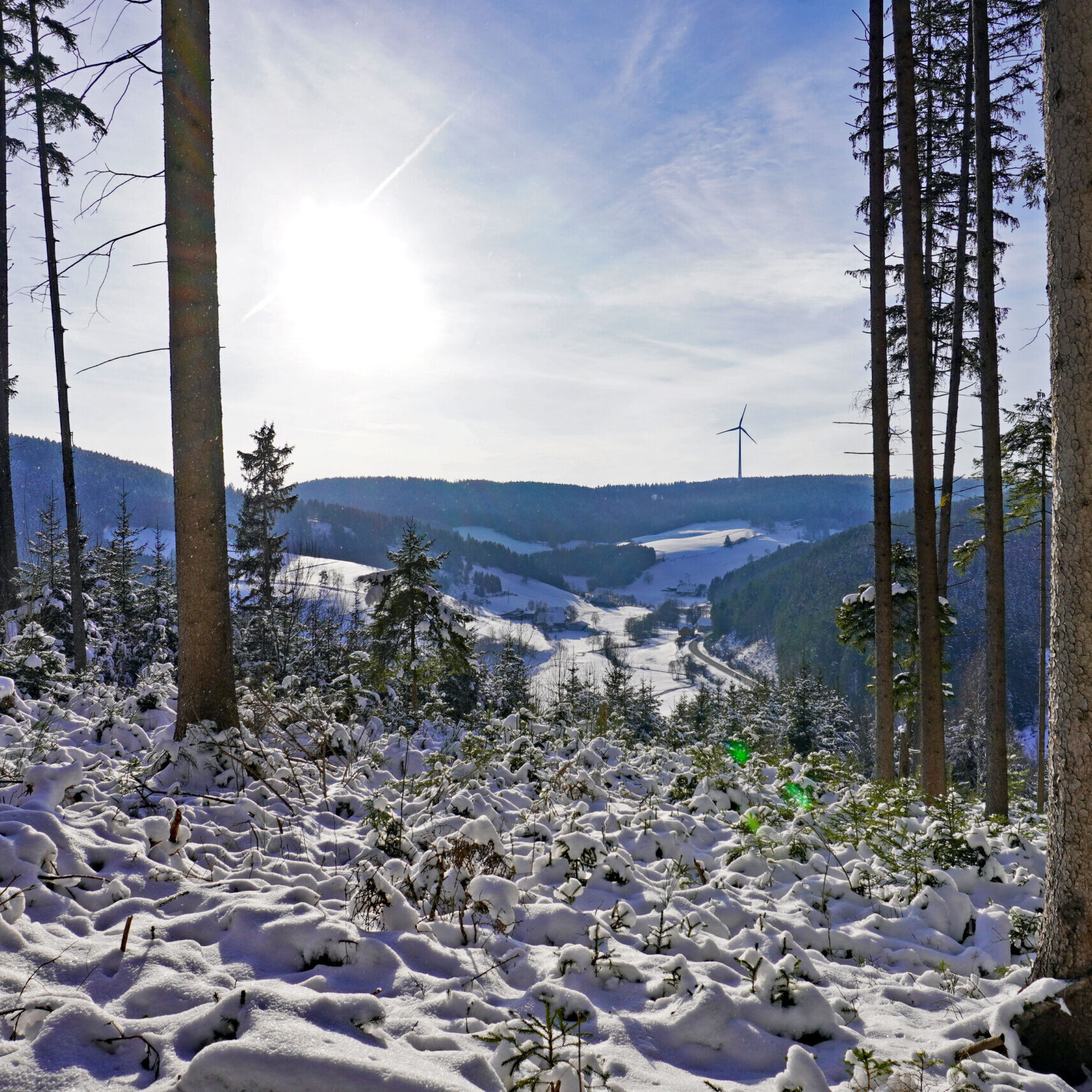 Mittelbergrunde Tennenbronn im Winter 19
