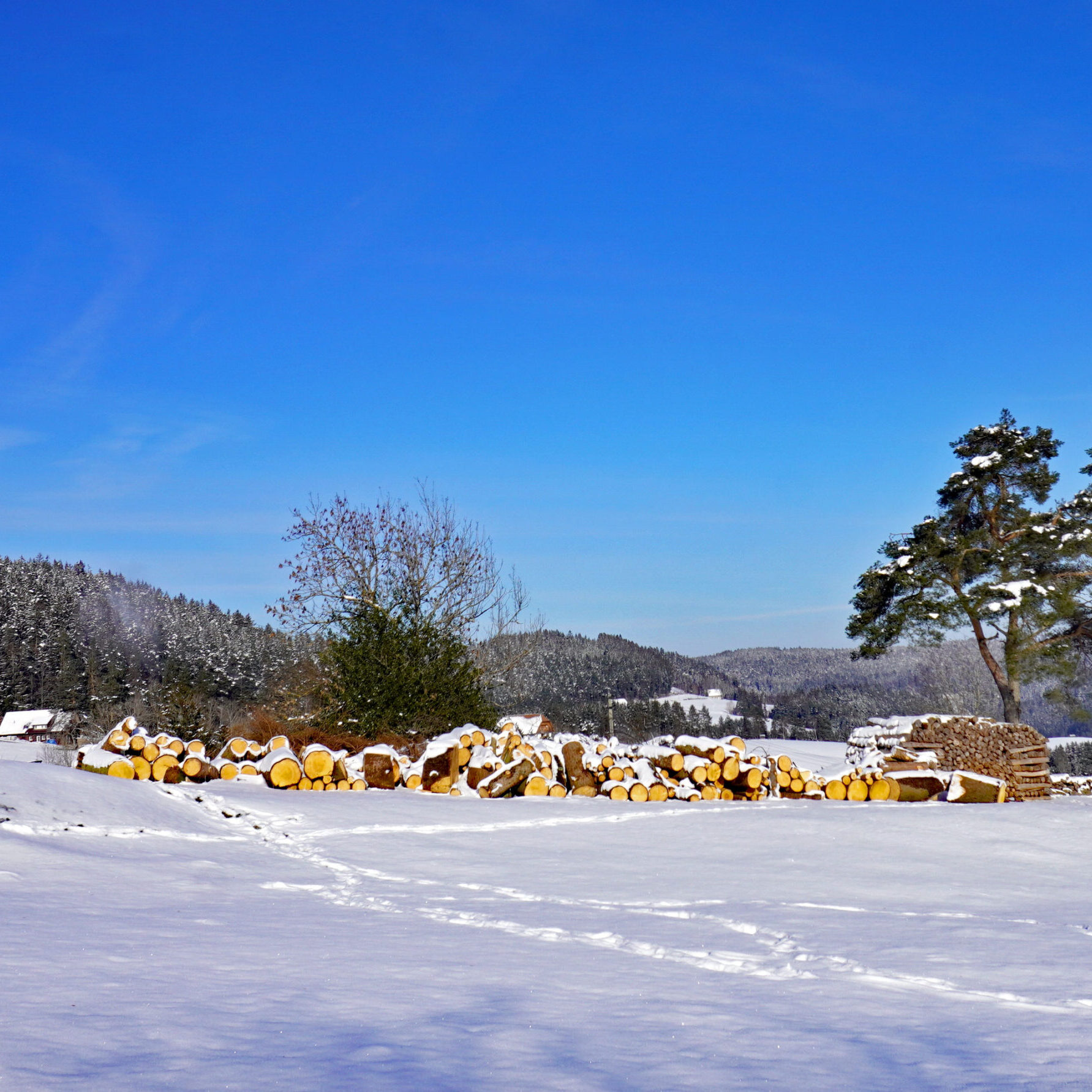 Mittelbergrunde Tennenbronn im Winter 7
