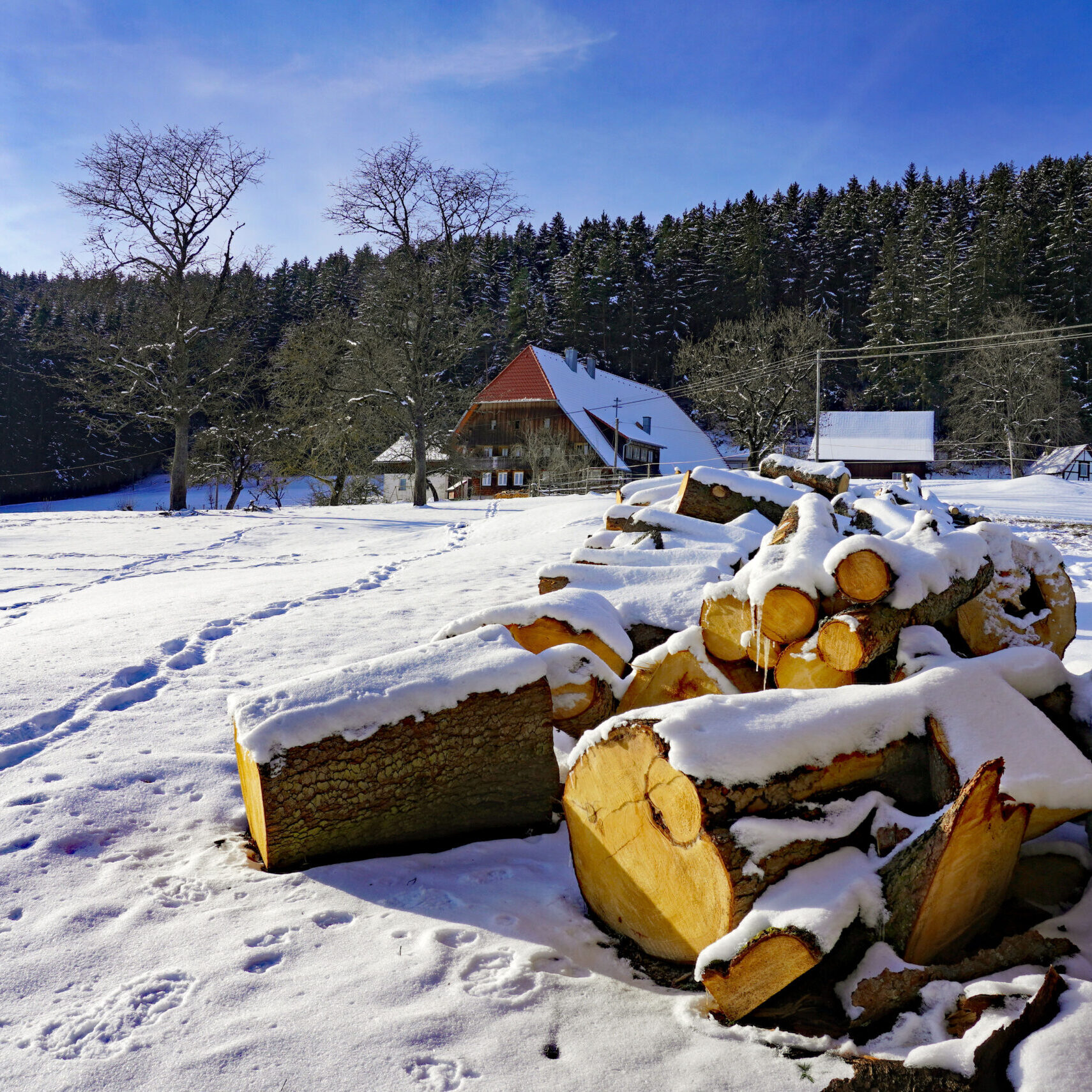 Mittelbergrunde Tennenbronn im Winter 9