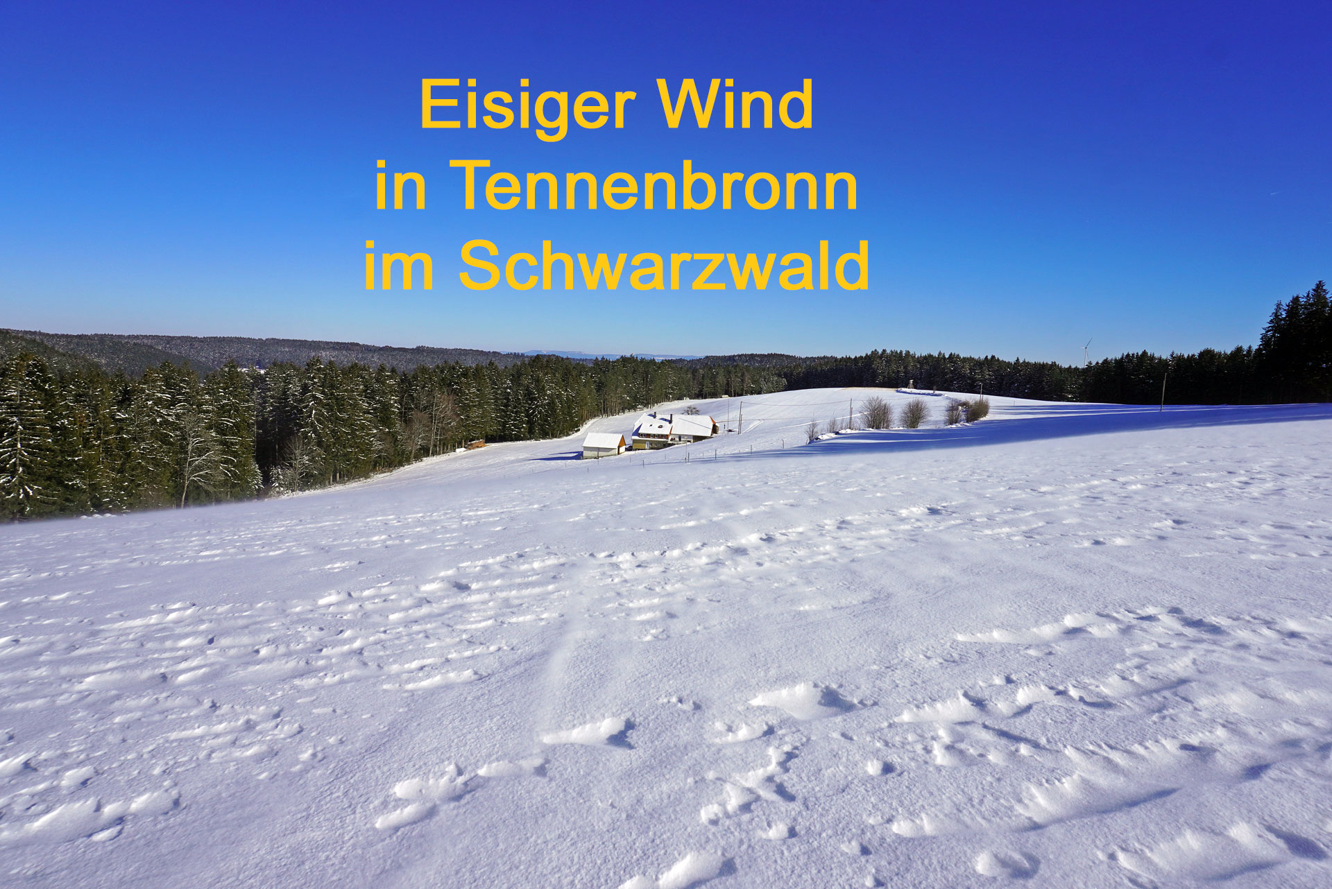 Eisiger Wind - Rezepte Suchen