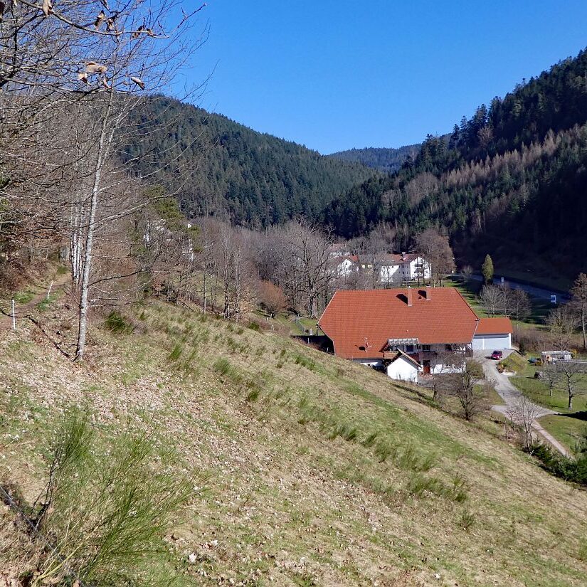 Der Panoramaweg Hornberg 1