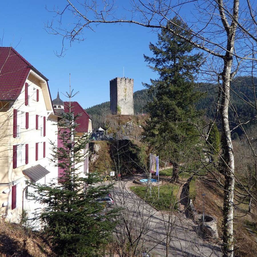 Der Panoramaweg Hornberg 10