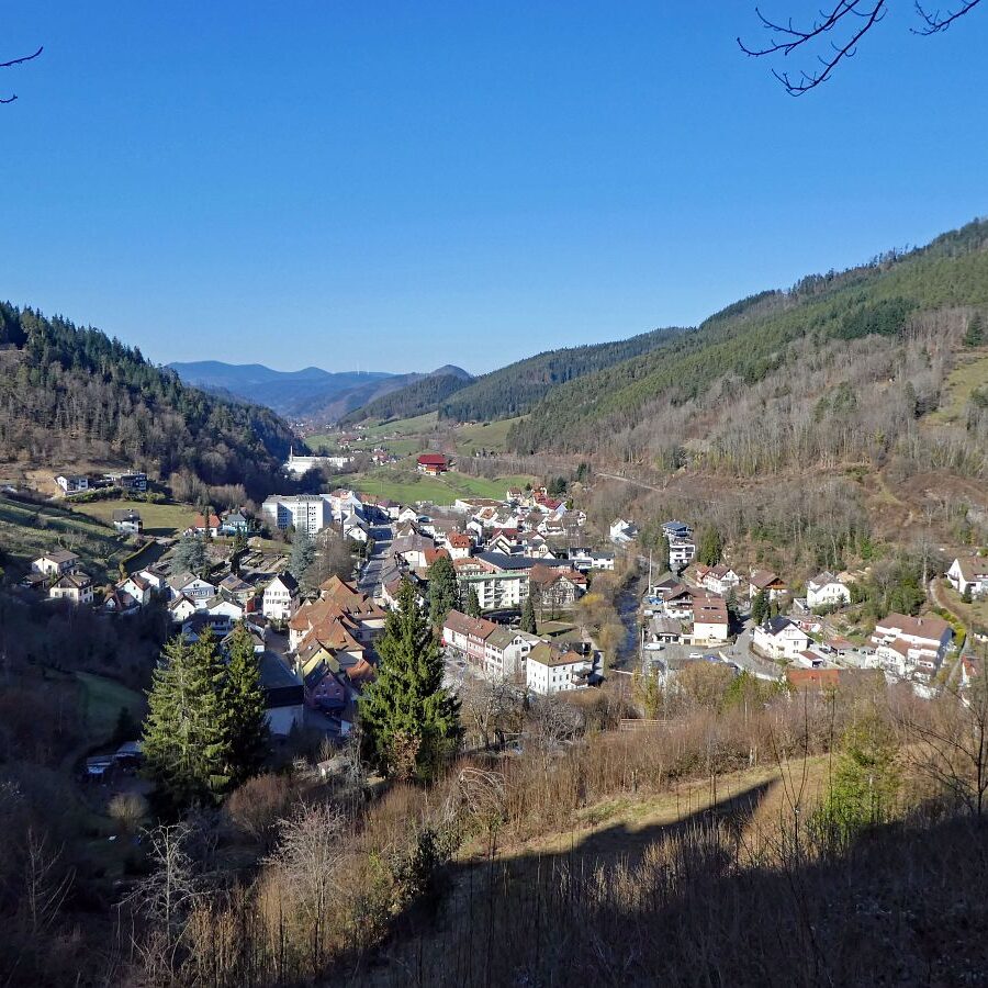 Der Panoramaweg Hornberg 12