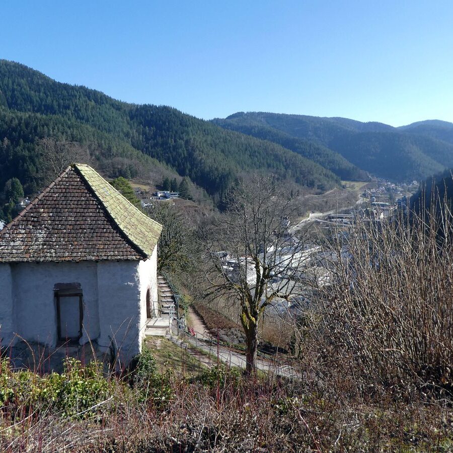 Der Panoramaweg Hornberg 14
