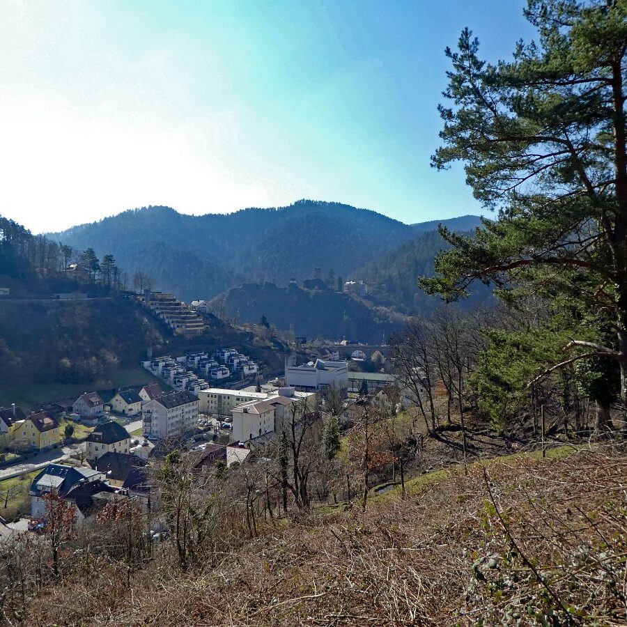 Der Panoramaweg Hornberg 2