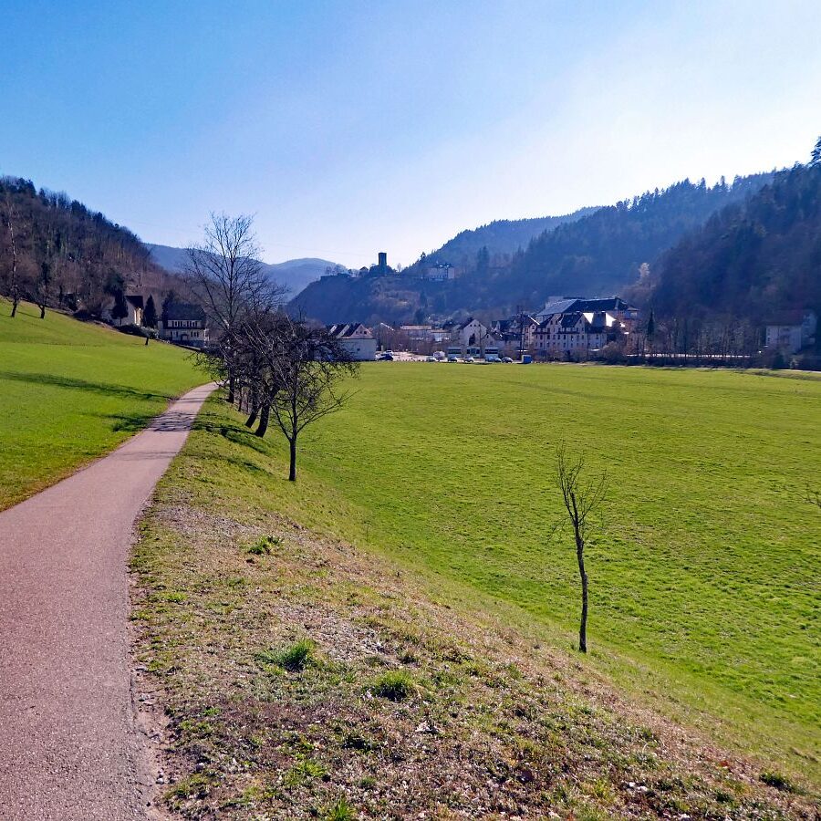 Der Panoramaweg Hornberg 6