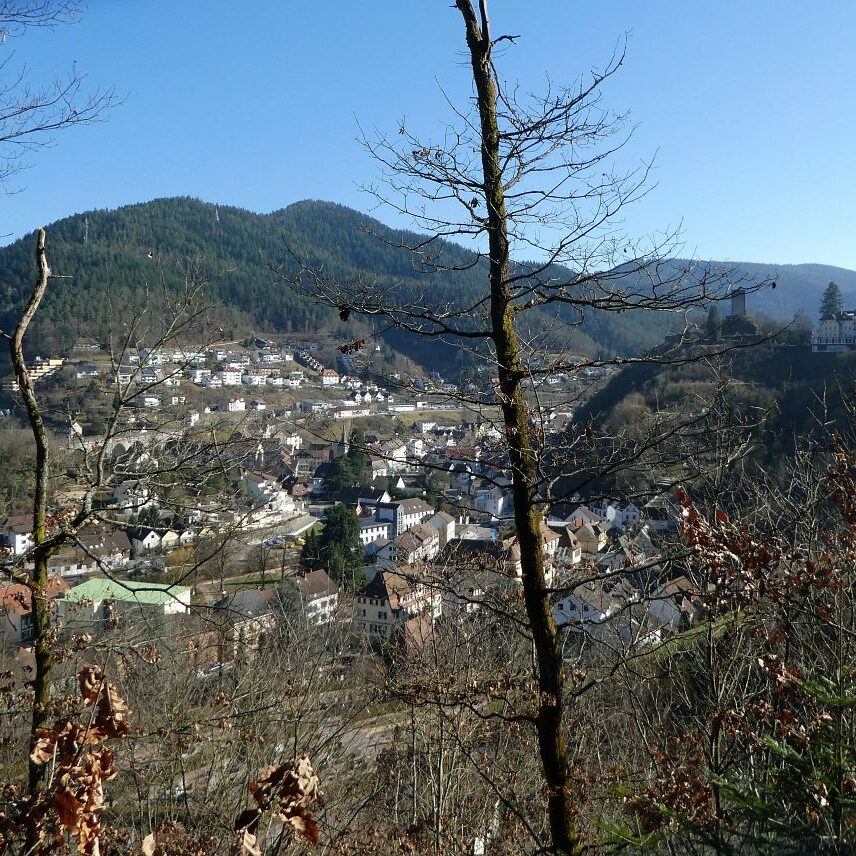 Der Panoramaweg Hornberg 7