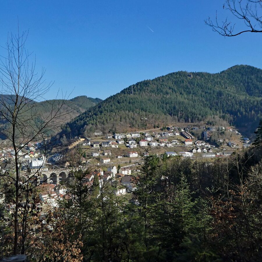 Der Panoramaweg Hornberg 8