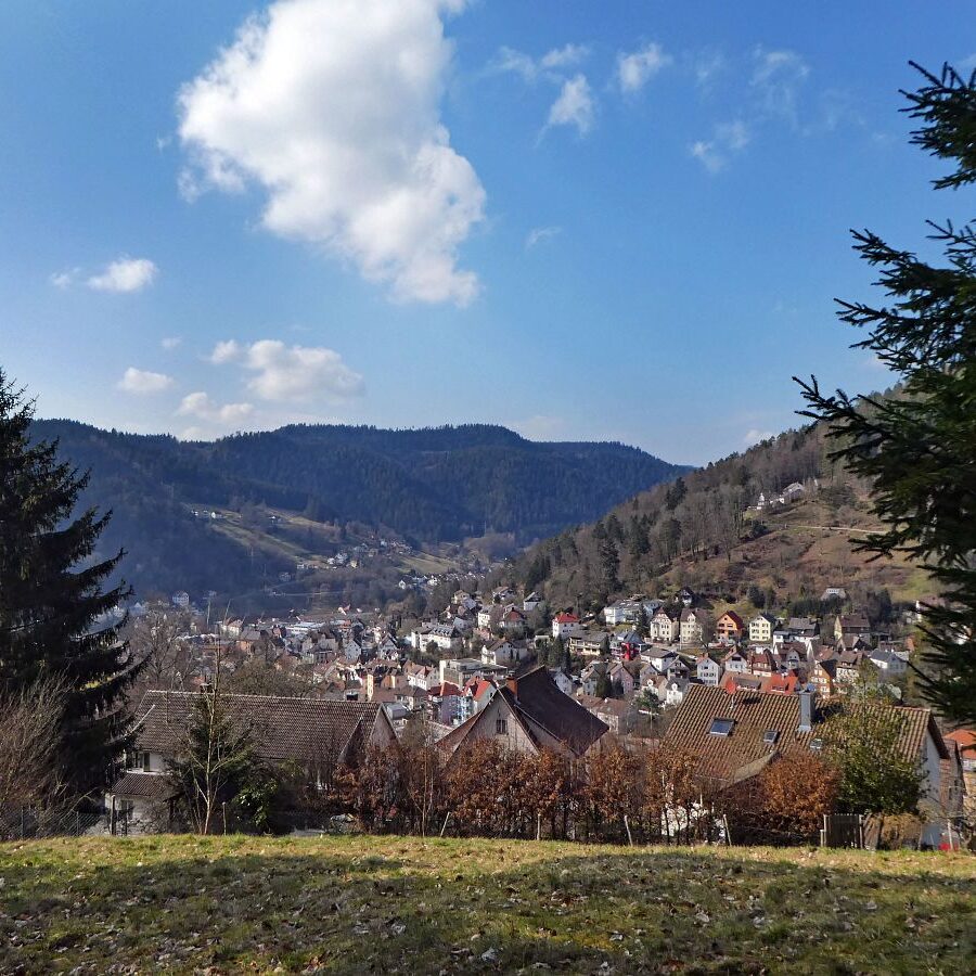 Der Panoramweg rund um Schramberg 0
