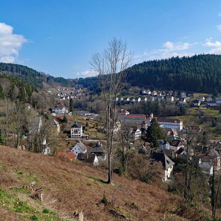 Der Panoramweg rund um Schramberg 1
