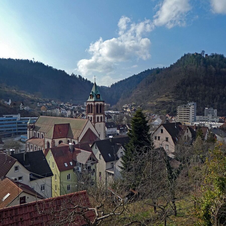 Der Panoramweg rund um Schramberg 10