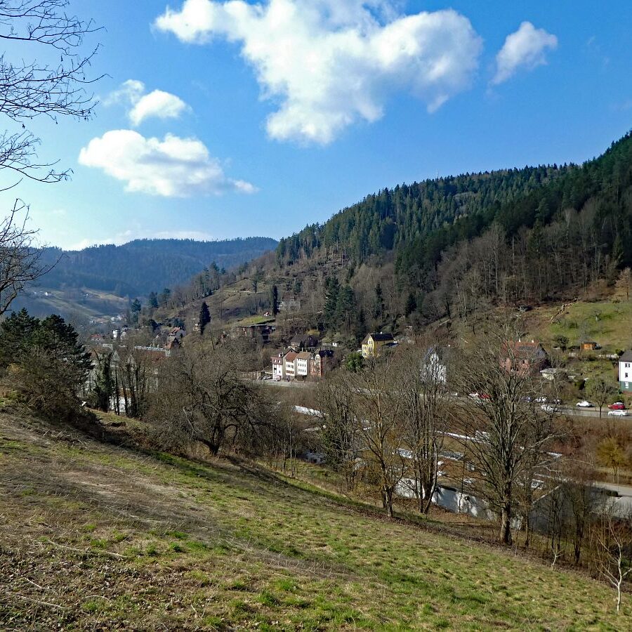 Der Panoramweg rund um Schramberg 2