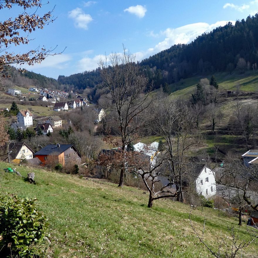 Der Panoramweg rund um Schramberg 3