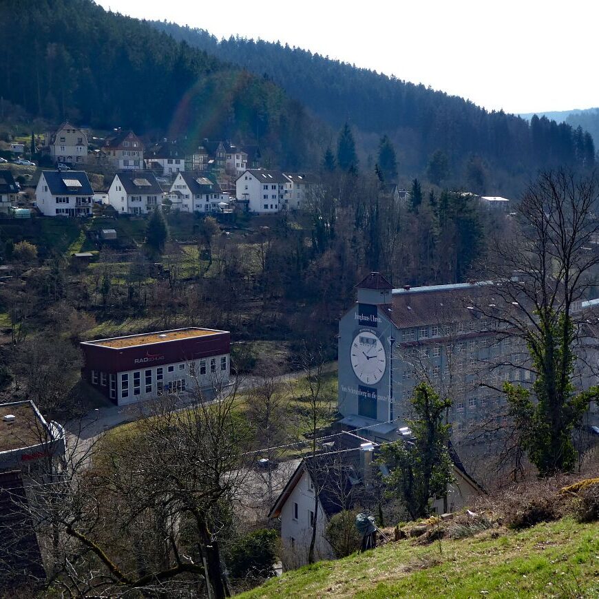 Der Panoramweg rund um Schramberg 4