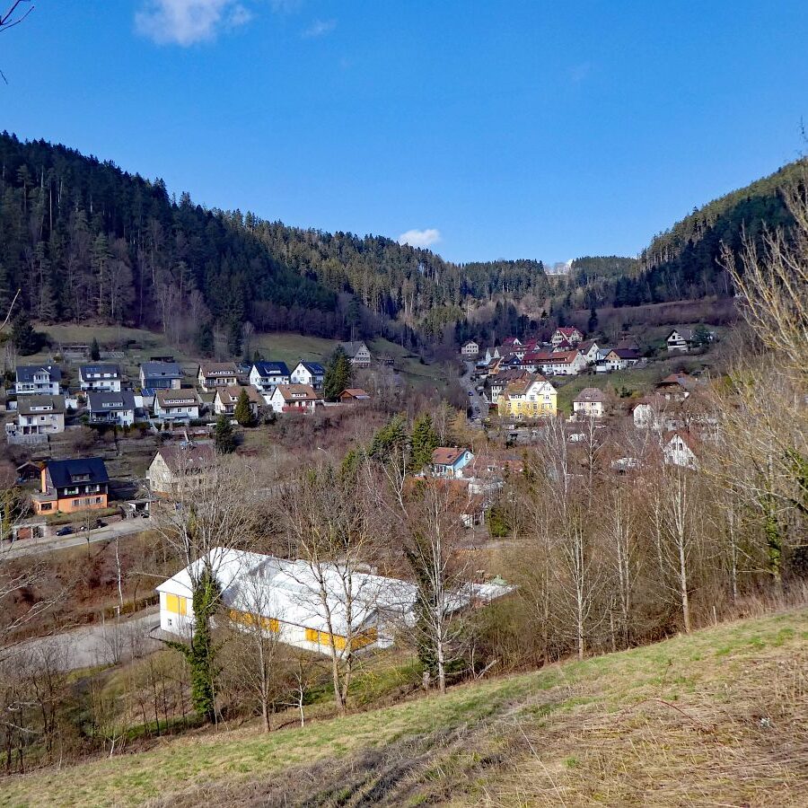 Der Panoramweg rund um Schramberg 7