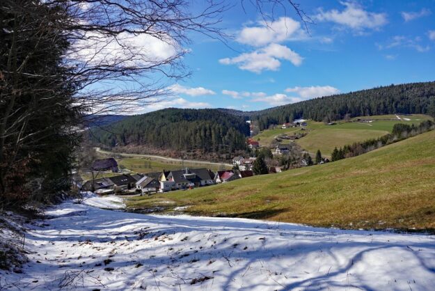 Schee zum Fruehlingsanfang in Tennenbronn 1 Schee zum Fruehlingsanfang in Tennenbronn 1