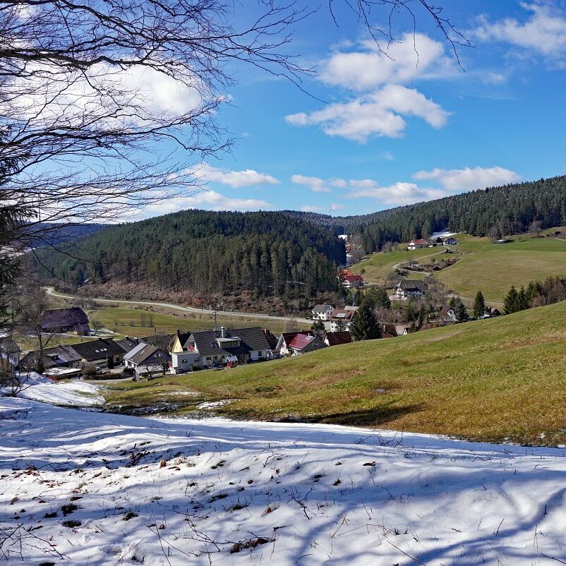 Schee zum Fruehlingsanfang in Tennenbronn 1