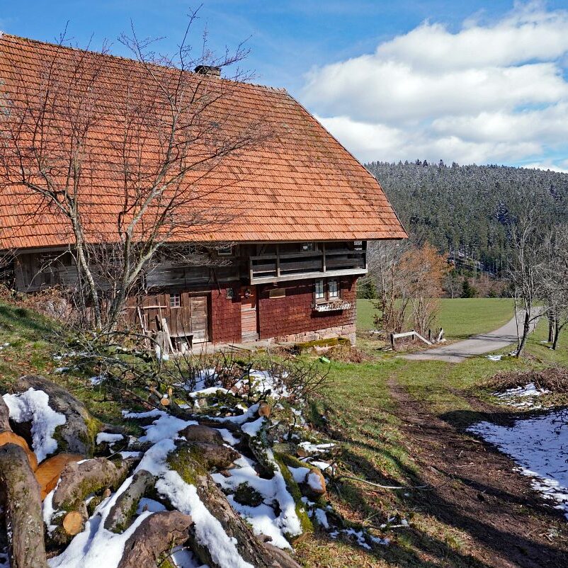 Schee zum Fruehlingsanfang in Tennenbronn 11
