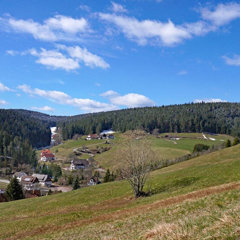 Schee zum Fruehlingsanfang in Tennenbronn 12