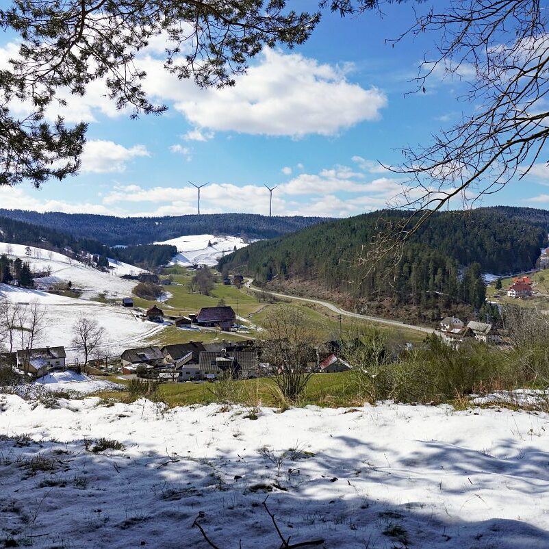 Schee zum Fruehlingsanfang in Tennenbronn 13