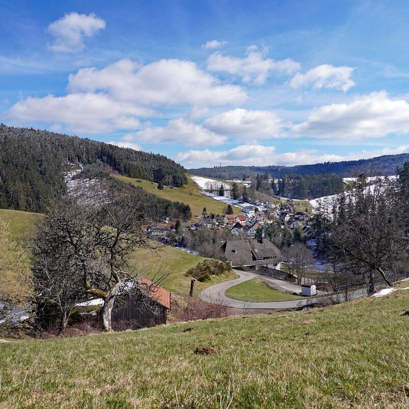 Schee zum Fruehlingsanfang in Tennenbronn 2