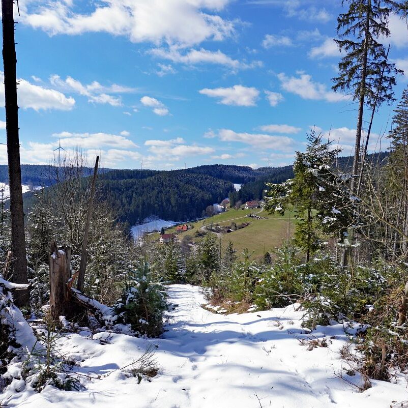 Schee zum Fruehlingsanfang in Tennenbronn 3