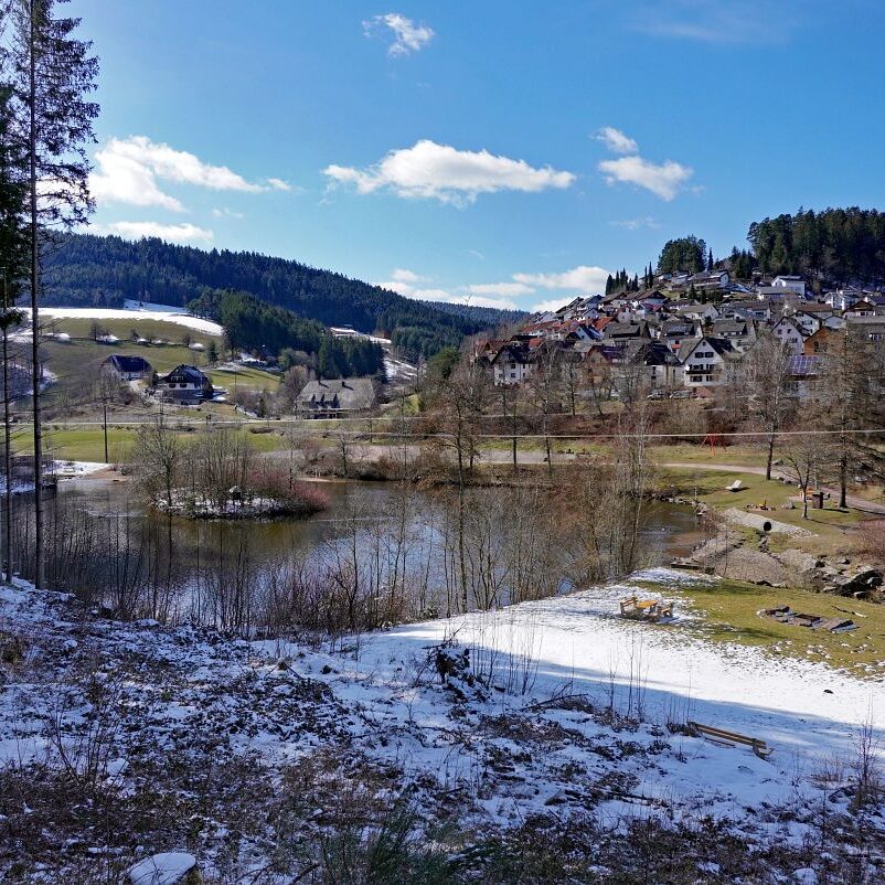Schee zum Fruehlingsanfang in Tennenbronn 4