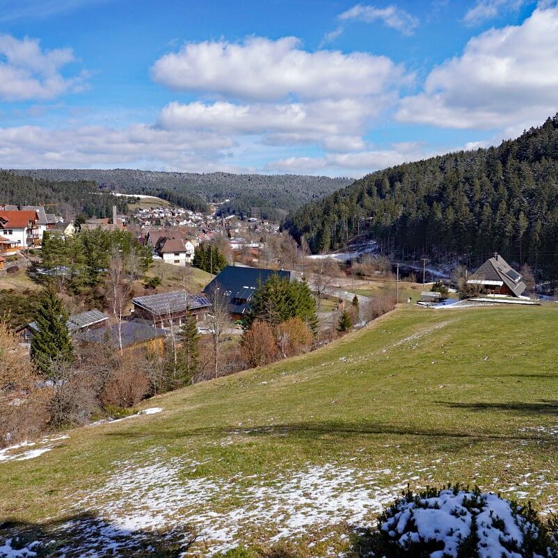 Schee zum Fruehlingsanfang in Tennenbronn 5