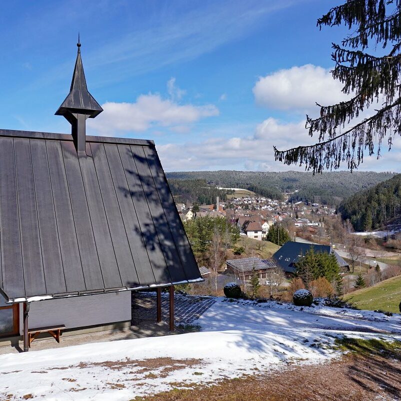 Schee zum Fruehlingsanfang in Tennenbronn 6