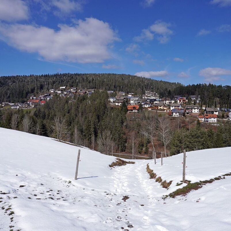 Schee zum Fruehlingsanfang in Tennenbronn 7