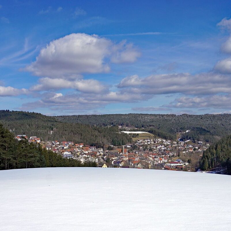 Schee zum Fruehlingsanfang in Tennenbronn 8