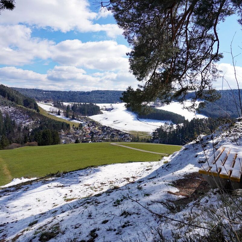 Schee zum Fruehlingsanfang in Tennenbronn 9