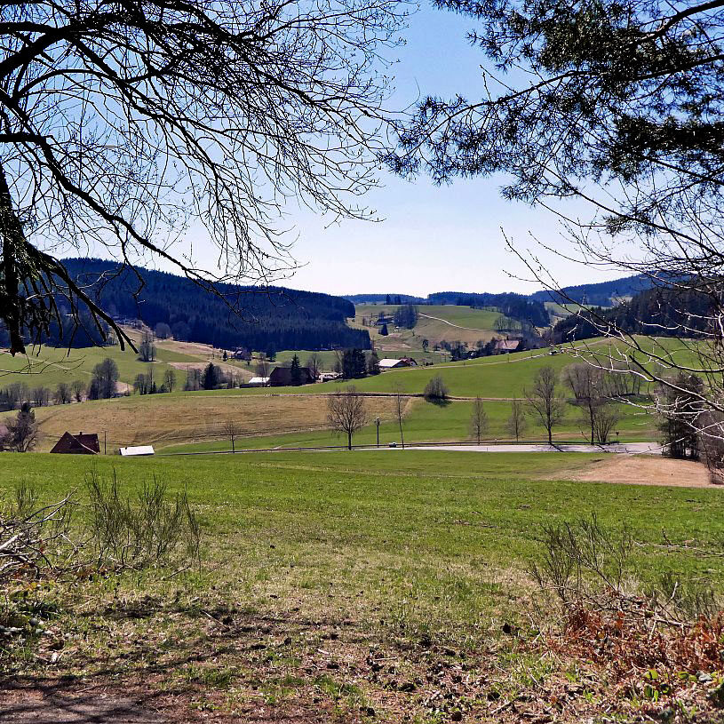 Sommerbergrunde Tennenbronn 1