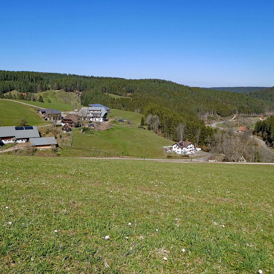 Sommerbergrunde Tennenbronn 10