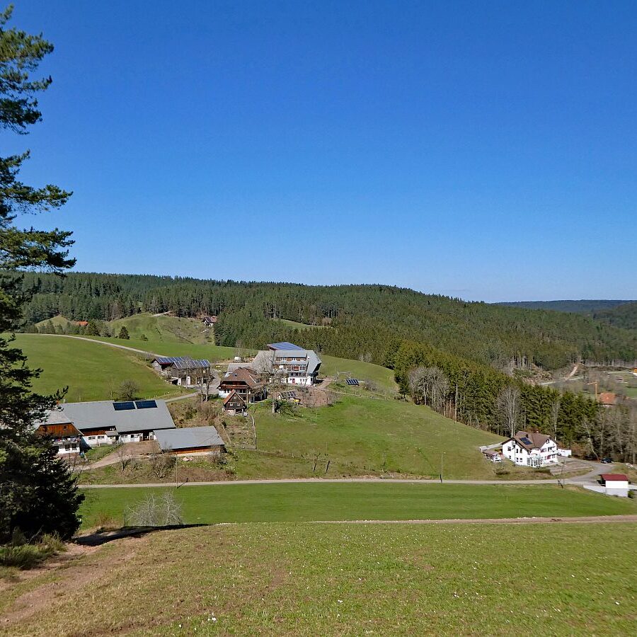 Sommerbergrunde Tennenbronn 11