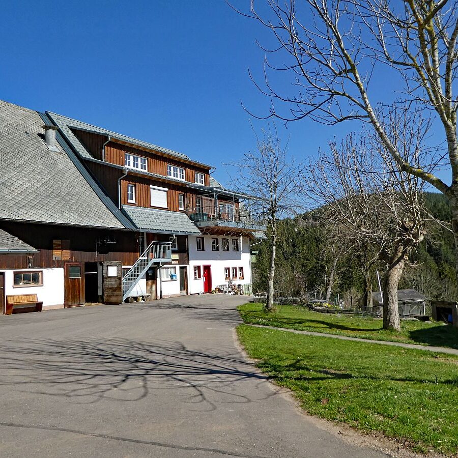 Sommerbergrunde Tennenbronn 12