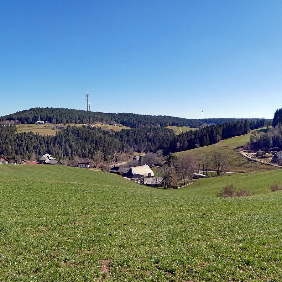 Sommerbergrunde Tennenbronn 15