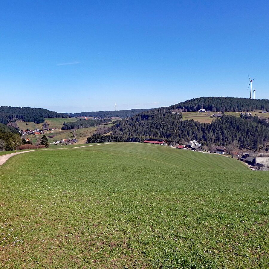 Sommerbergrunde Tennenbronn 16