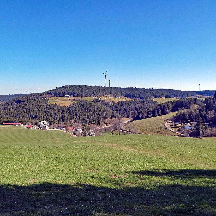 Sommerbergrunde Tennenbronn 17