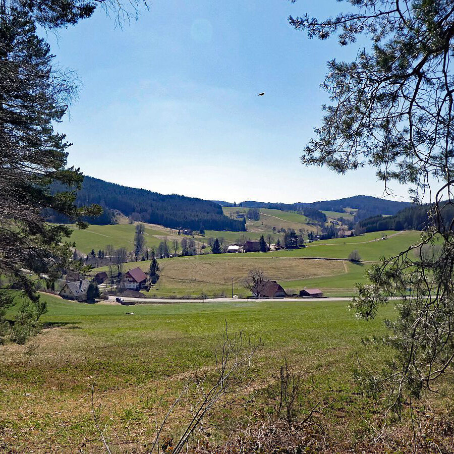 Sommerbergrunde Tennenbronn 2