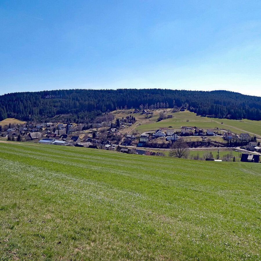 Sommerbergrunde Tennenbronn 3